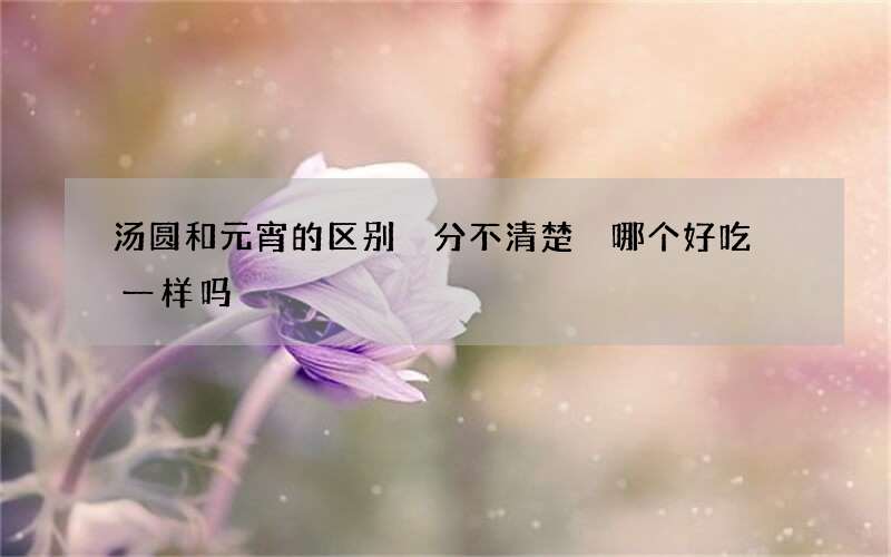 汤圆和元宵的区别 分不清楚 哪个好吃 一样吗